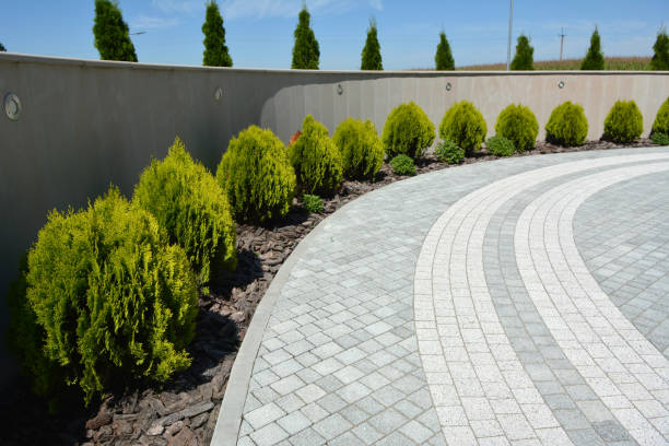 Best Affordable Driveway Paving  in Ladera, CA